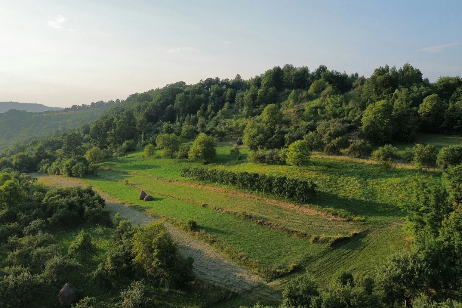 Fields and woodland in rural Transylvania