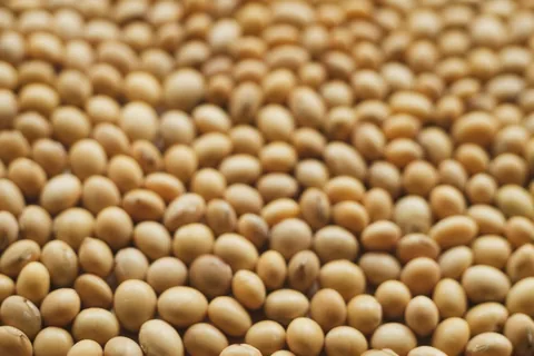Soya beans